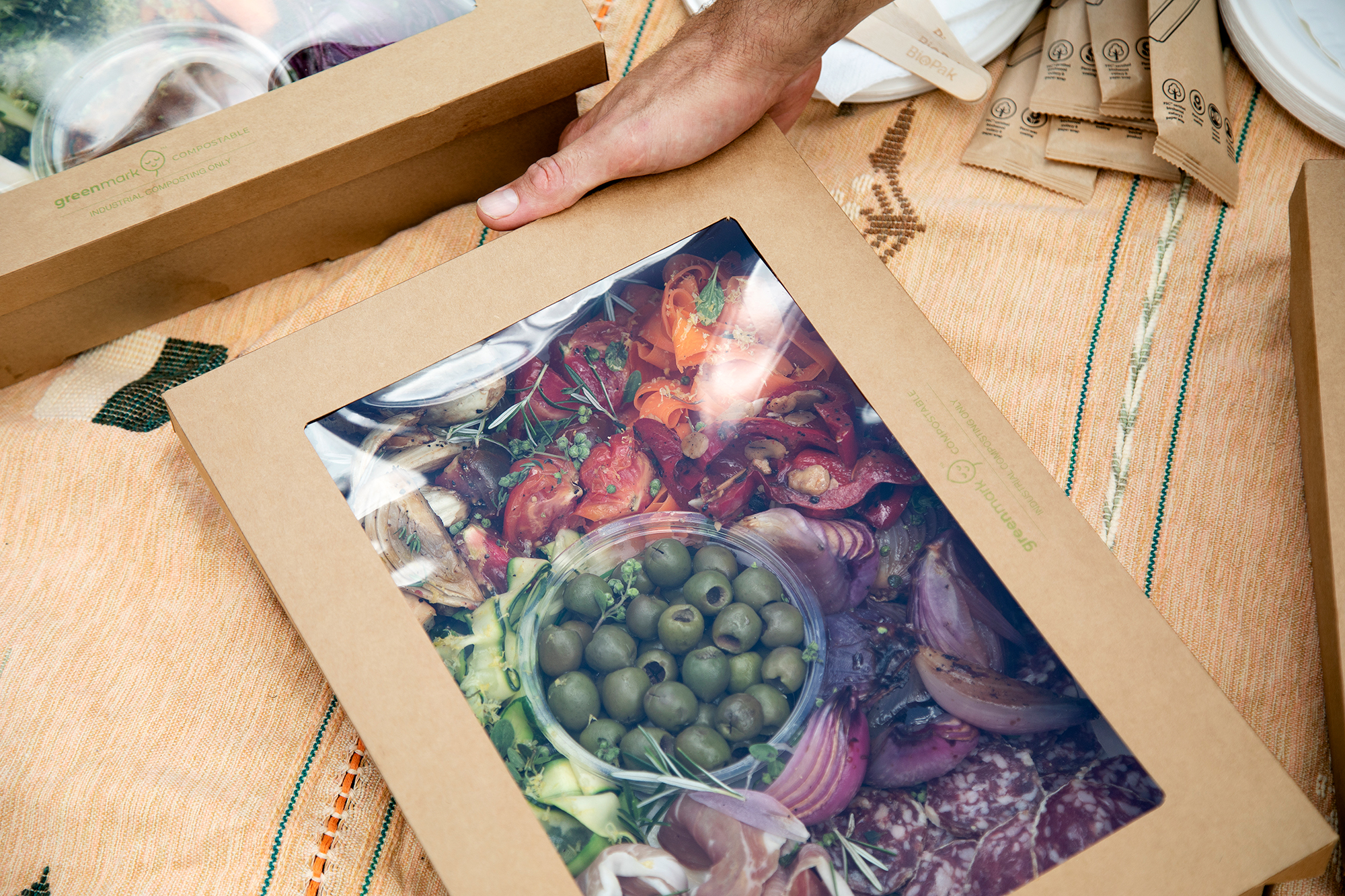Catering unpacking picnic Brisbane